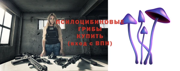 хмурый Зерноград