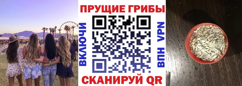 Псилоцибиновые грибы мицелий  Купить где  Апшеронск 